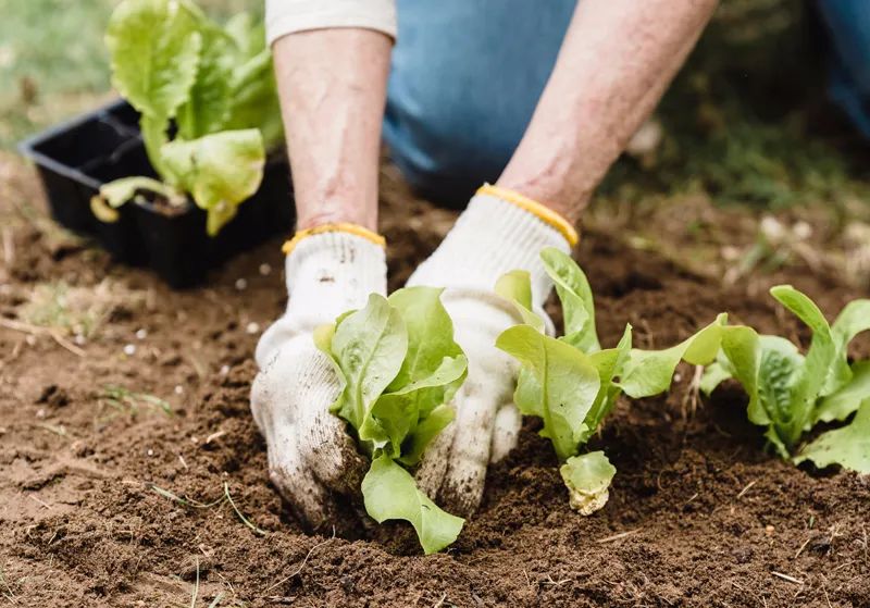 關(guān)注  第三次全國土壤普查開始了！第三方檢測項目、方法、實驗室儀器配置一覽！