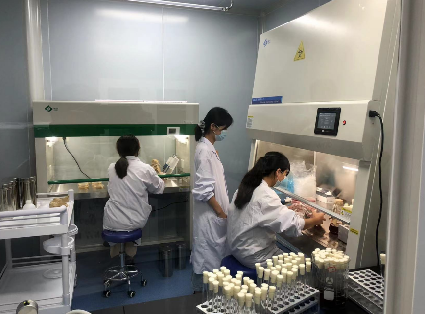 公共衛(wèi)生檢測(cè)的重要性，你了解嗎？