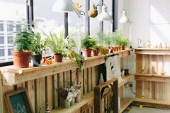 這些生活中含有的甲醛，你了解嗎？甲醛治理要